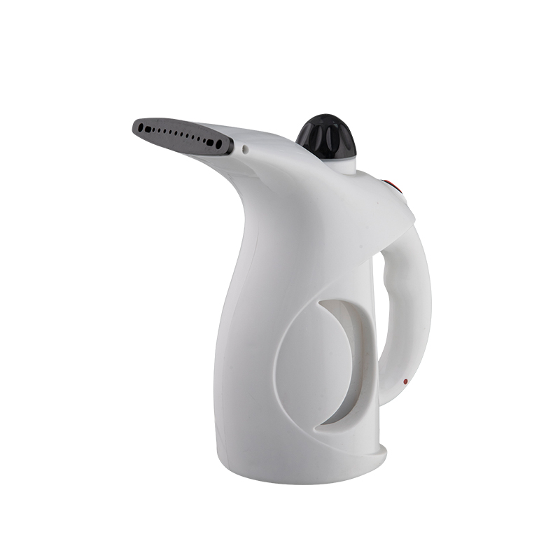 What If a Steam Iron Could Also Give You a Spa-Like Facial at Home?